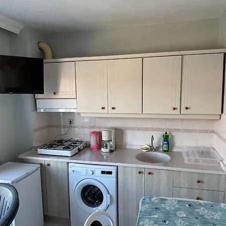 Basak * マルマリス